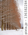 滋賀 メタセコイア並木の雪景色 136382284