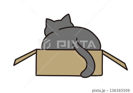 ダンボールに入った猫のイラスト素材 136383509