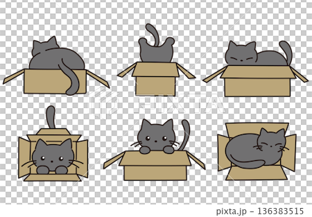 ダンボールに入った猫のイラスト素材 136383515