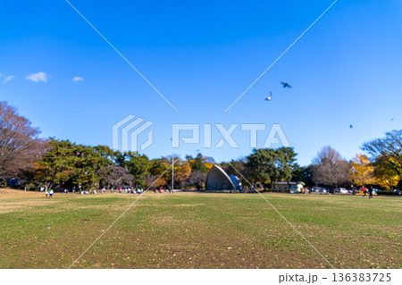 冬の公園の広場の風景 136383725