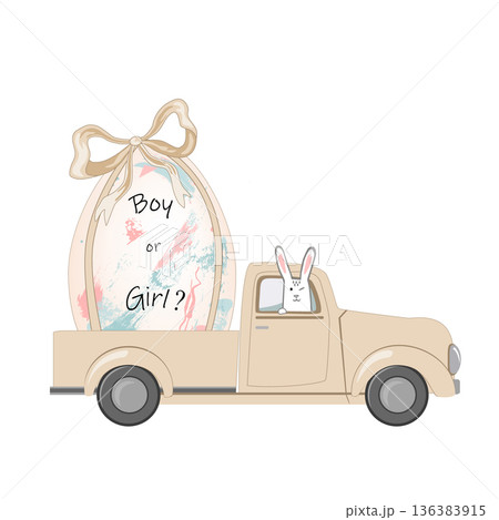 Happy bunny driving a vintage truck with Easter egg decorated with blue and pink spots and strokes. Boy or Girl text. Baby gender reveal party design element. Vector isolated illustration. Happy bunny driving a vintage truck with Easter egg decorated with blue and pink spots and strokes. Boy or Girl text. Baby gender reveal party design element. Vector isolated illustration. 136383915