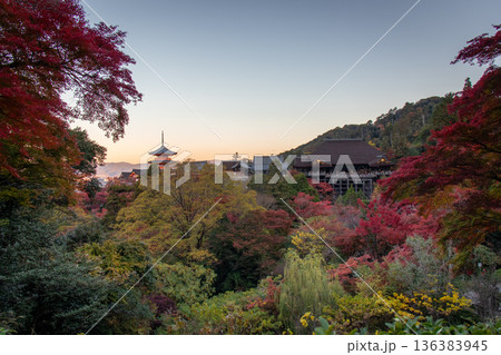 秋の清水寺 秋の清水寺 136383945