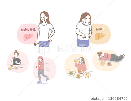 健康な肝臓と脂肪肝の女性のイラストセット 136384792