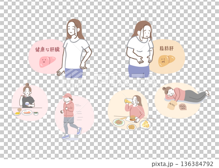 Healthy liver and fatty liver woman illustration set 136384792