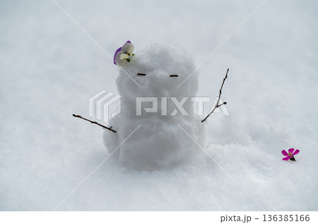 雪だるま 136385166
