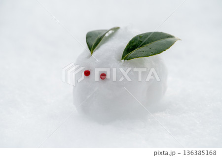雪うさぎ 136385168