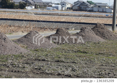 レンコン田の堆肥散布作業 136385209