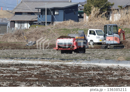 レンコン田の堆肥散布作業 レンコン田の堆肥散布作業 136385211
