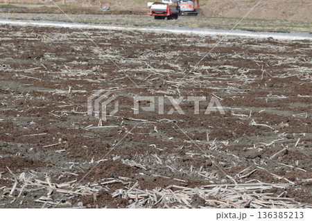 レンコン田の堆肥散布作業 136385213
