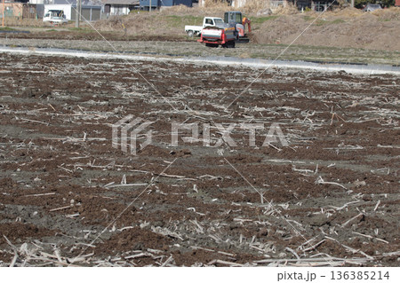 レンコン田の堆肥散布作業 136385214