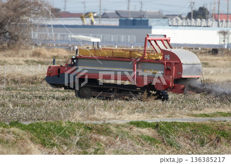 レンコン田の堆肥散布作業 136385217
