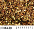 落ち葉 136385574