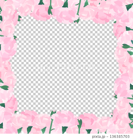 Light pink carnation transparent background frame_square 136385703