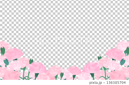 淺粉紅康乃馨背景透明邊框_底部_水平 136385704