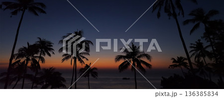 Coconut tree silhouette on paradise sunset, twilight on the beach. 136385834