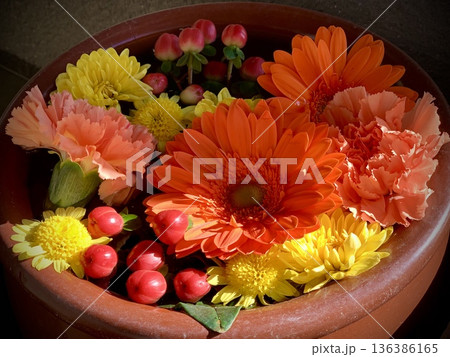 2月の花手水(ガーベラ・カーネーション・菊・ヒペリカム)〈菅生神社/愛知県岡崎市〉 136386165