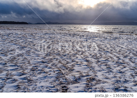 波立つ冬の湖面と湖畔の雪 猪苗代湖　d-1 136386276