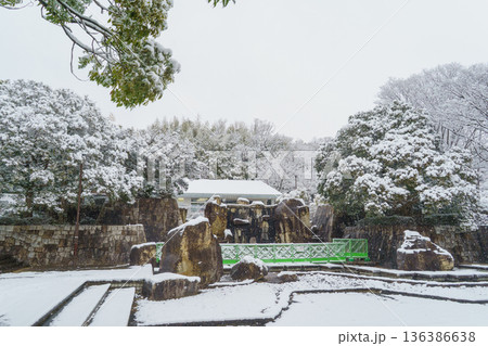 【千葉県千葉市緑区】雪の日の有吉公園 【千葉県千葉市緑区】雪の日の有吉公園 136386638