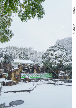 【千葉県千葉市緑区】雪の日の有吉公園 【千葉県千葉市緑区】雪の日の有吉公園 136386639