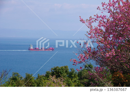 兵庫県洲本市 桜の時期の生石岬展望台からの眺望 兵庫県洲本市 桜の時期の生石岬展望台からの眺望 136387087