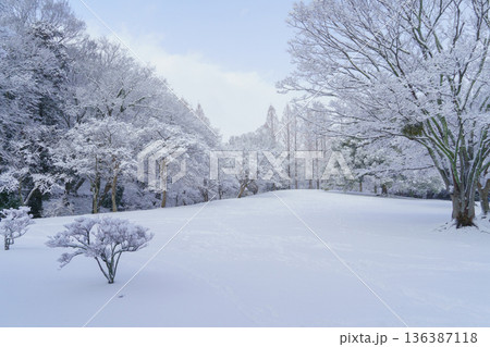 雪の降る公園|千葉県千葉市・泉谷公園 雪の降る公園|千葉県千葉市・泉谷公園 136387118