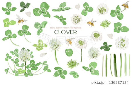 水彩で描いたクローバー（シロツメクサ）のパーツ素材セット 136387124