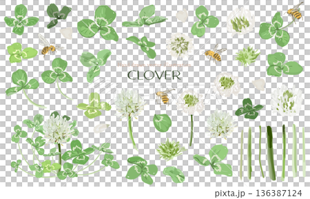 Watercolor clover (white clover) parts material set 136387124