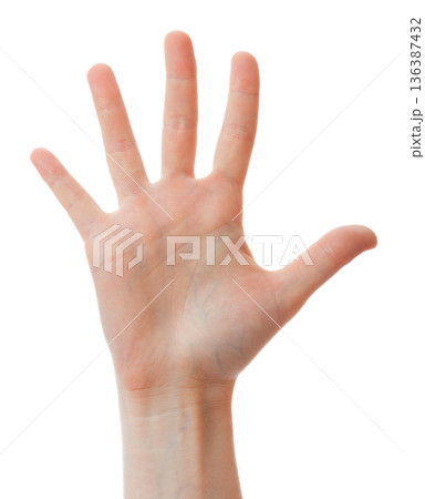 Human hand showing five fingers isolated on white background Human hand showing five fingers isolated on white background 136387432