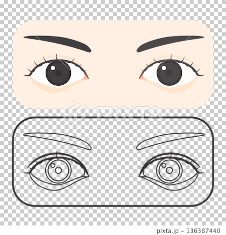 目の塗りと線のベクターイラスト 136387440