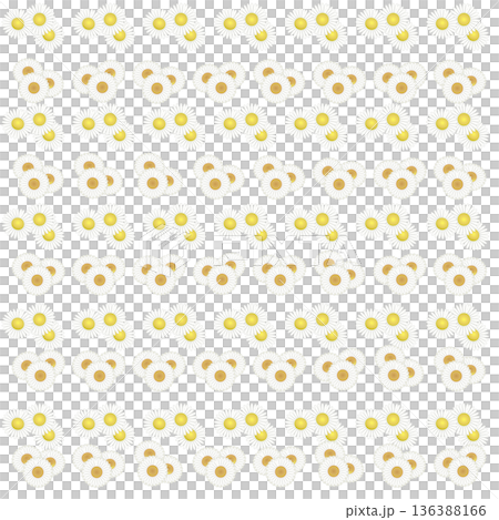 デージーの壁紙イラスト デージーの壁紙イラスト 136388166