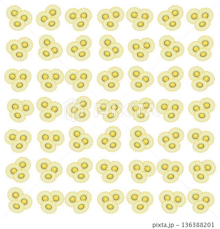 デージーのイラスト壁紙 デージーのイラスト壁紙 136388201