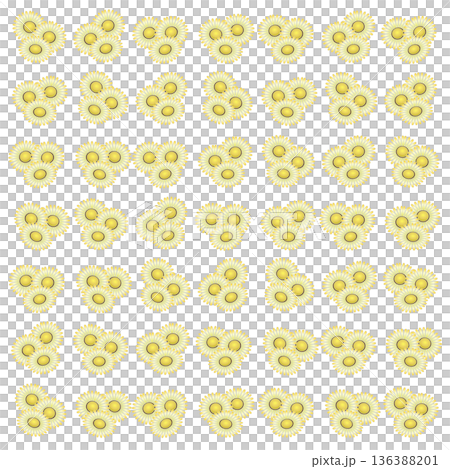 デージーのイラスト壁紙 デージーのイラスト壁紙 136388201