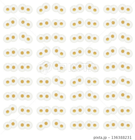 デージーのイラスト壁紙 デージーのイラスト壁紙 136388231