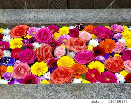 2月の華やかな花手水(薔薇・菊・ガーベラ・パンジー・デンファレ)〈菅生神社/愛知県岡崎市〉 136389121