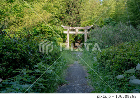 金刀比羅神社 二の鳥居の風景(福津市) 金刀比羅神社 二の鳥居の風景(福津市) 136389268