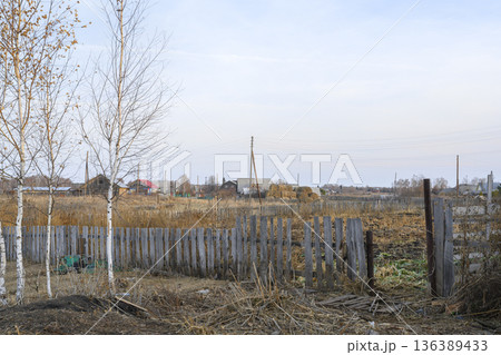 Wooden fence and birch trees on the outskirts of a village in late autumn in Siberia Wooden fence and birch trees on the outskirts of a village in late autumn in Siberia 136389433