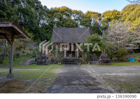 春の枚聞神社の風景（阿久根市） 136390090