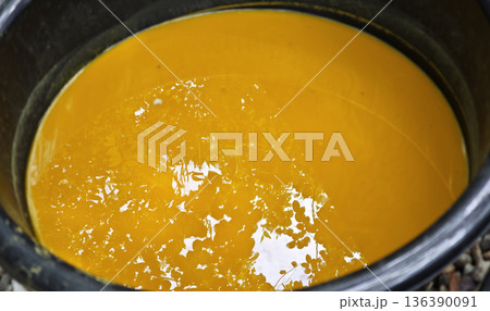 The yellow dye derived from turmeric is used as a natural dye for fabrics using traditional methods. The yellow dye derived from turmeric is used as a natural dye for fabrics using traditional methods. 136390091