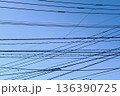見上げた空は電線だらけ 136390725