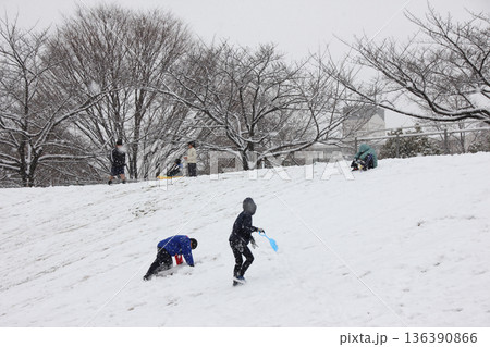 雪の降る公園でソリ滑りをして遊ぶ子供たち 136390866