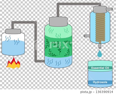 Steam Distillation Process - Essential Oil Extraction Diagram 136390914