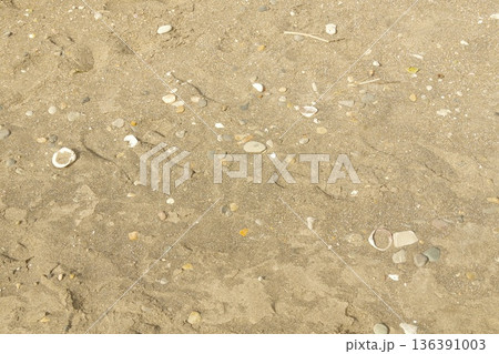 海辺の砂浜 海辺の砂浜 136391003