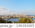 Istanbul city skyline viewed through the Bosphorus Strait 136391005