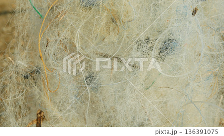 Sewing white fishing net sea mesh Philippines improvised trap equipment tools, capture aquatic creatures like fish, crabs, shellfish nylon polyethylene, cotton to secure food catching gather from 136391075