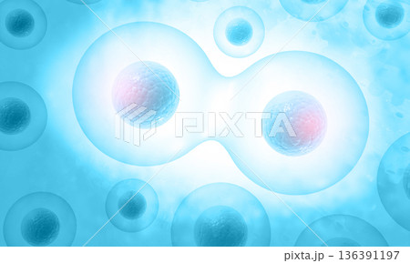 Human cells division 136391197