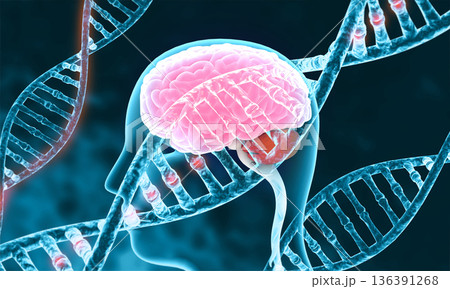 Human brain with dna Human brain with dna 136391268