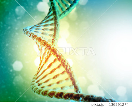 DNA strands on science background 136391274