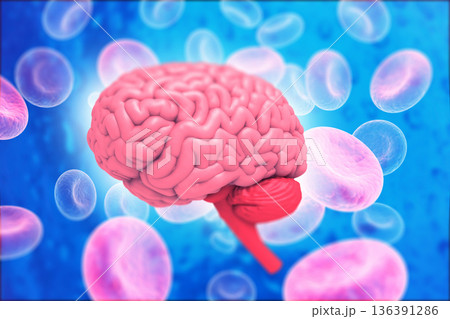 Human brain anatomy with science background 136391286