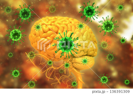 Virus infection on brain Virus infection on brain 136391309
