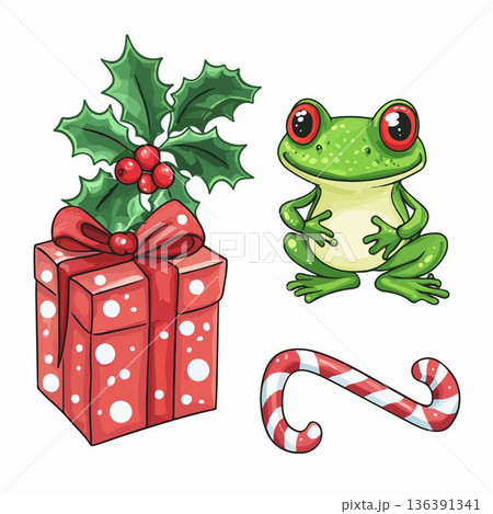 frog with gift box frog with gift box 136391341